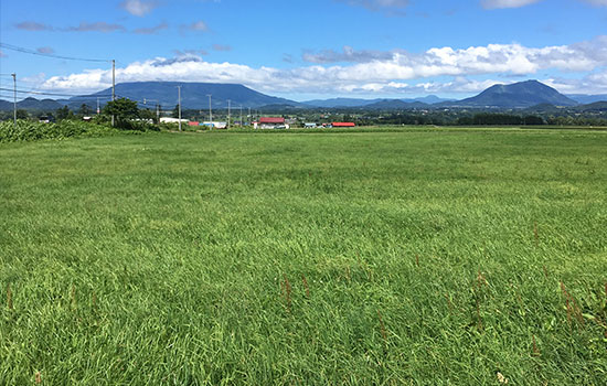 北海道の風景